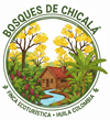 bosquesdechicala.com